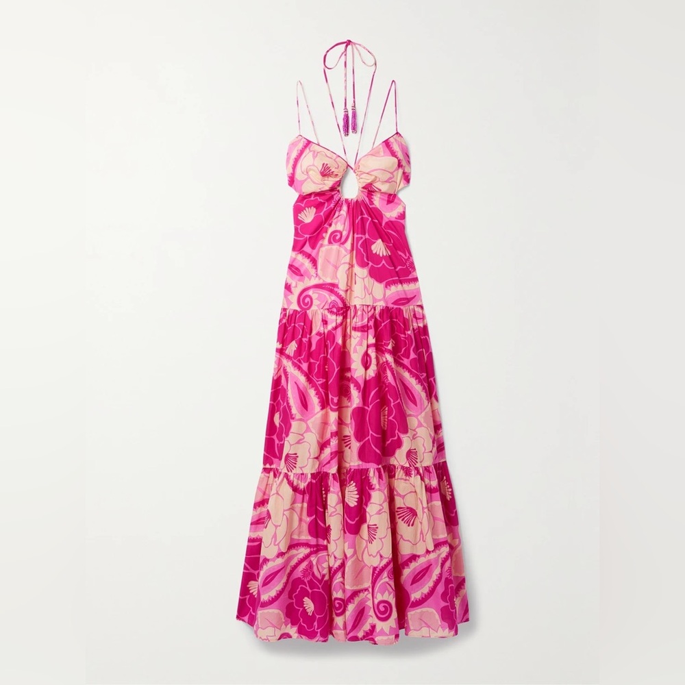 FARM Rio Pink and Beige Floral Maxi Dress